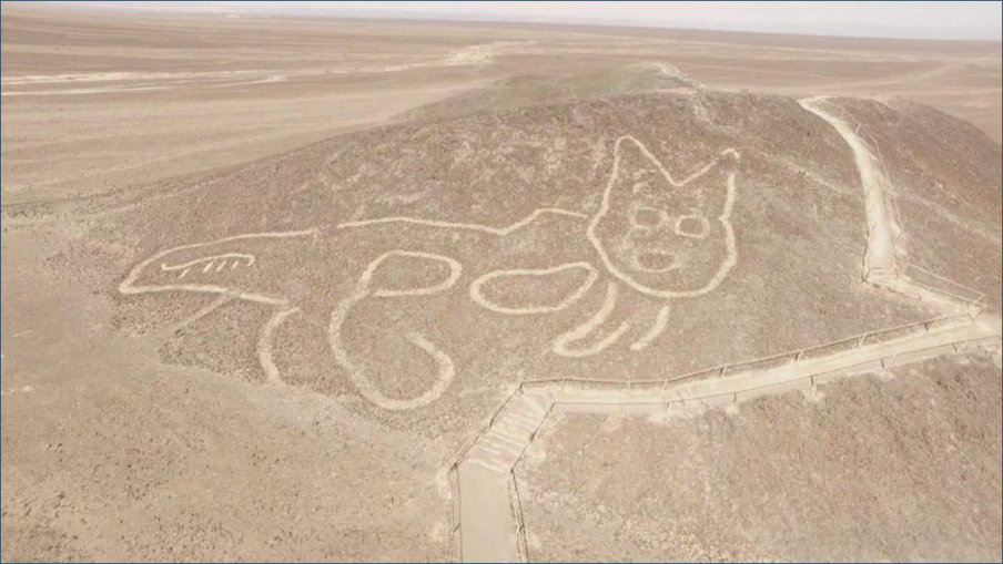 Nazca Cat